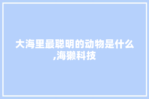 大海里最聪明的动物是什么,海獭科技