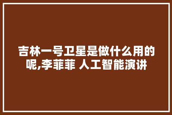 吉林一号卫星是做什么用的呢,李菲菲 人工智能演讲