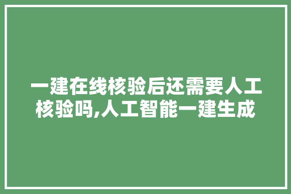 一建在线核验后还需要人工核验吗,人工智能一建生成视频