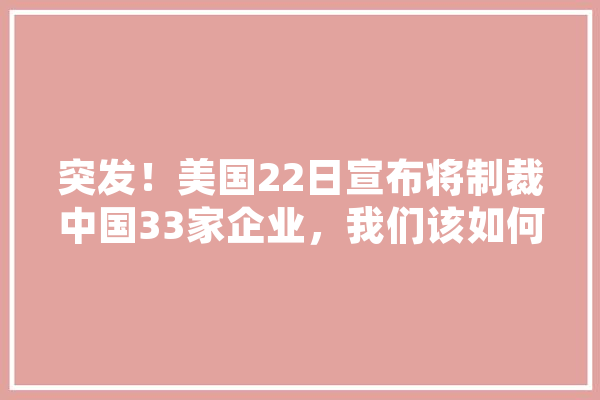 突发！美国22日宣布将制裁中国33家企业，我们该如何应对,制裁人工智能芯片 文字写作