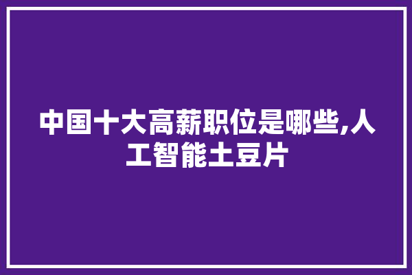 中国十大高薪职位是哪些,人工智能土豆片