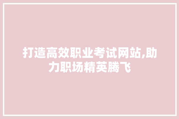 打造高效职业考试网站,助力职场精英腾飞