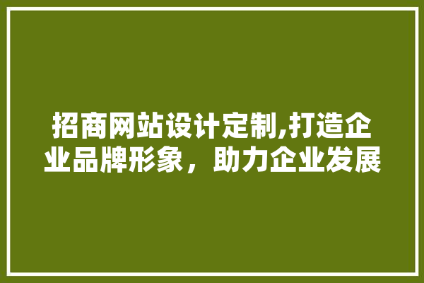 招商网站设计定制,打造企业品牌形象，助力企业发展新篇章