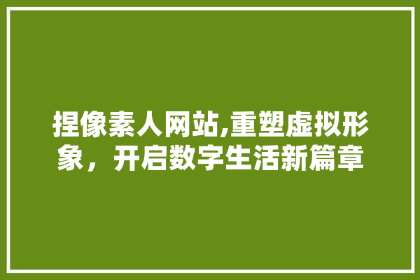 捏像素人网站,重塑虚拟形象，开启数字生活新篇章