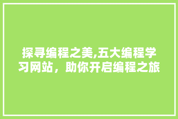 探寻编程之美,五大编程学习网站，助你开启编程之旅 科技快讯