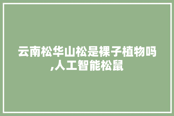 云南松华山松是裸子植物吗,人工智能松鼠