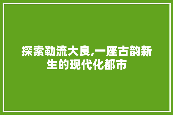 探索勒流大良,一座古韵新生的现代化都市 云服务