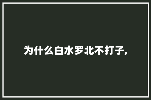 为什么白水罗北不打子,