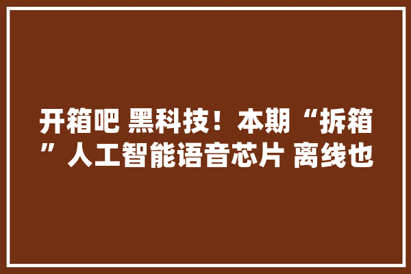 开箱吧 黑科技！本期“拆箱”人工智能语音芯片 离线也能AI_芯片_语音 绘影字幕