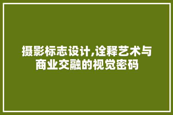 摄影标志设计,诠释艺术与商业交融的视觉密码