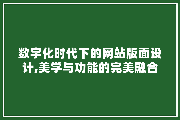 数字化时代下的网站版面设计,美学与功能的完美融合
