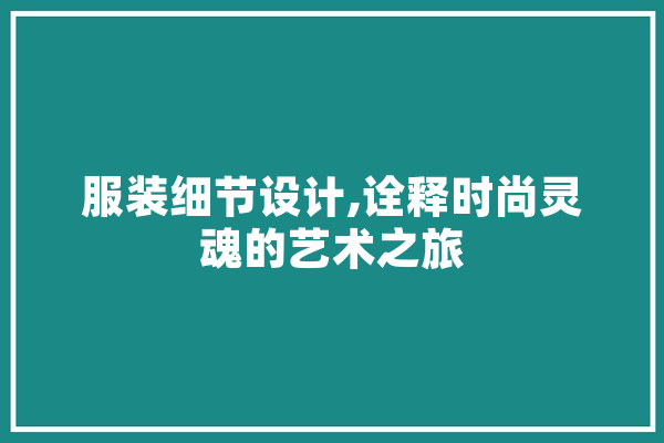 服装细节设计,诠释时尚灵魂的艺术之旅 云服务