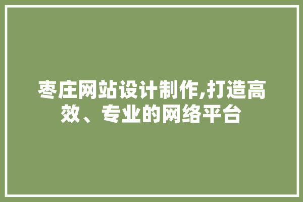 枣庄网站设计制作,打造高效、专业的网络平台