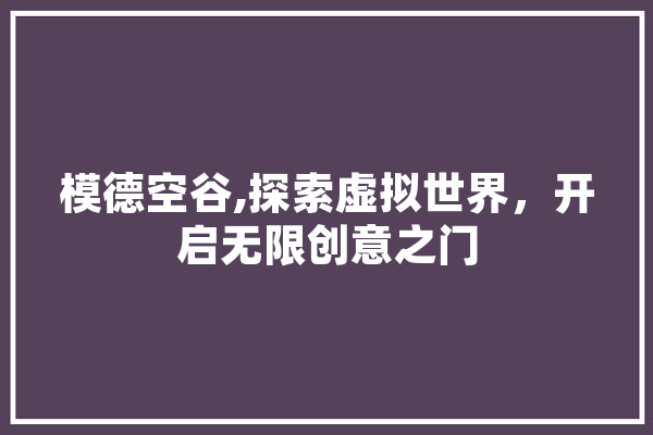 模德空谷,探索虚拟世界，开启无限创意之门