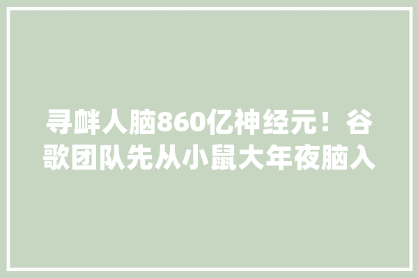 寻衅人脑860亿神经元！谷歌团队先从小鼠大年夜脑入手AI算法立大年夜功_年夜脑_地图 AI简讯