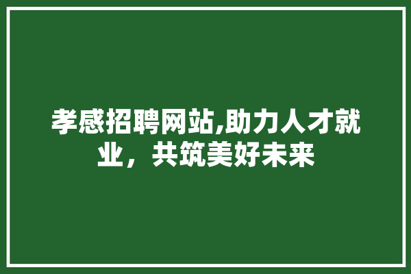 孝感招聘网站,助力人才就业，共筑美好未来
