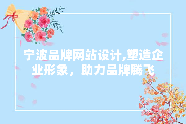 宁波品牌网站设计,塑造企业形象，助力品牌腾飞 文字写作
