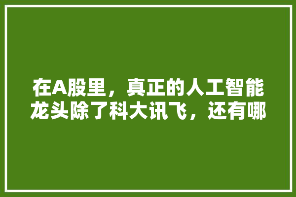 在A股里，真正的人工智能龙头除了科大讯飞，还有哪几个,人工智能很火