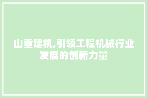 山重建机,引领工程机械行业发展的创新力量 科技快讯