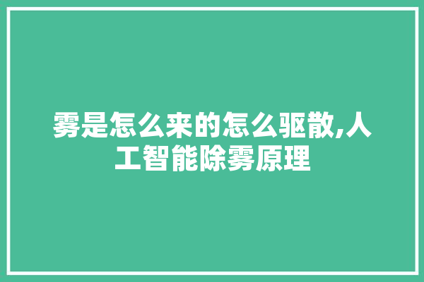 雾是怎么来的怎么驱散,人工智能除雾原理