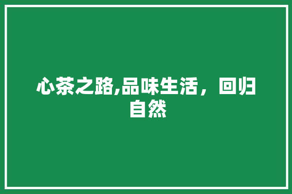 心茶之路,品味生活，回归自然
