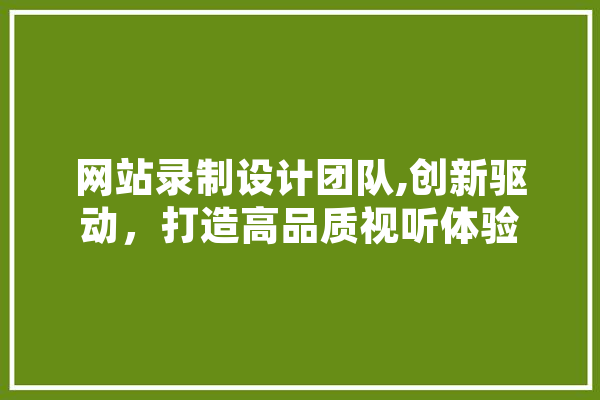 网站录制设计团队,创新驱动，打造高品质视听体验 AI快讯