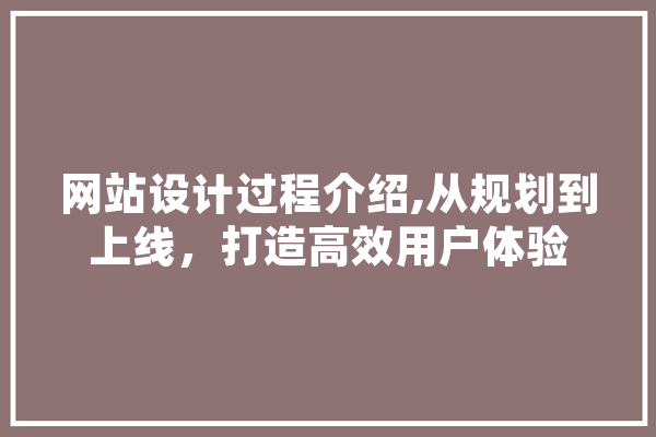 网站设计过程介绍,从规划到上线，打造高效用户体验 科技快讯