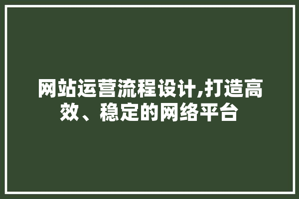 网站运营流程设计,打造高效、稳定的网络平台 文字写作