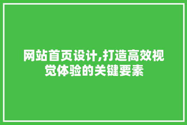 网站首页设计,打造高效视觉体验的关键要素 文字写作