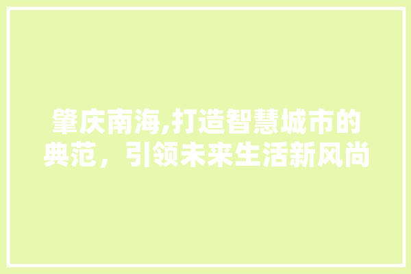 肇庆南海,打造智慧城市的典范，引领未来生活新风尚 云服务