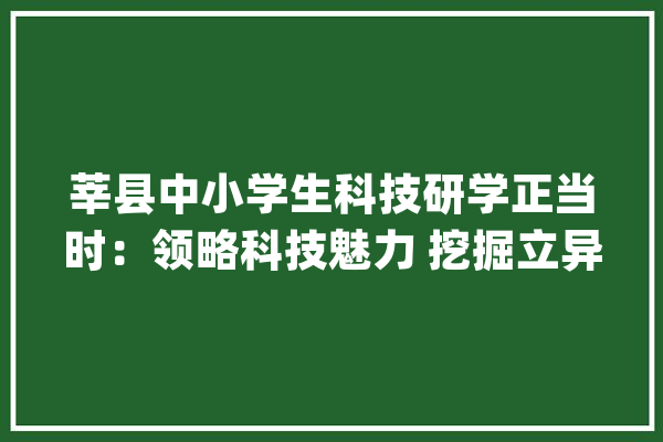 莘县中小学生科技研学正当时：领略科技魅力 挖掘立异潜能_莘县_人工智能