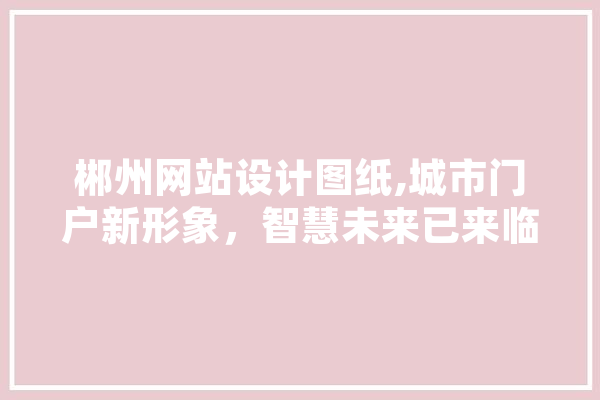 郴州网站设计图纸,城市门户新形象，智慧未来已来临