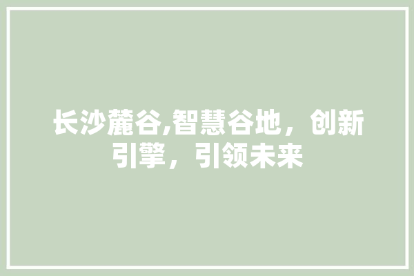 长沙麓谷,智慧谷地，创新引擎，引领未来