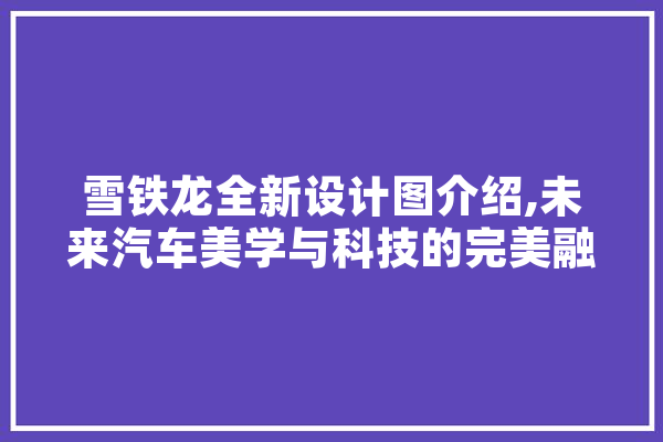 雪铁龙全新设计图介绍,未来汽车美学与科技的完美融合
