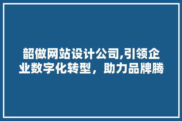韶做网站设计公司,引领企业数字化转型，助力品牌腾飞 计算机