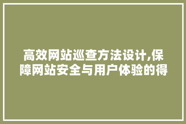 高效网站巡查方法设计,保障网站安全与用户体验的得力助手 AI简讯