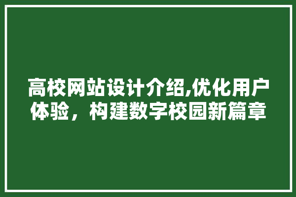 高校网站设计介绍,优化用户体验，构建数字校园新篇章 云服务