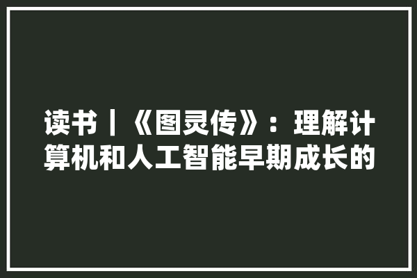 读书｜《图灵传》：理解计算机和人工智能早期成长的硬核科普_图灵_可能会