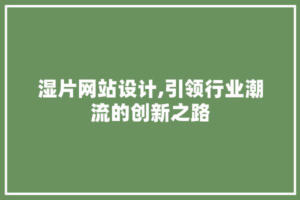 湿片网站设计,引领行业潮流的创新之路 计算机