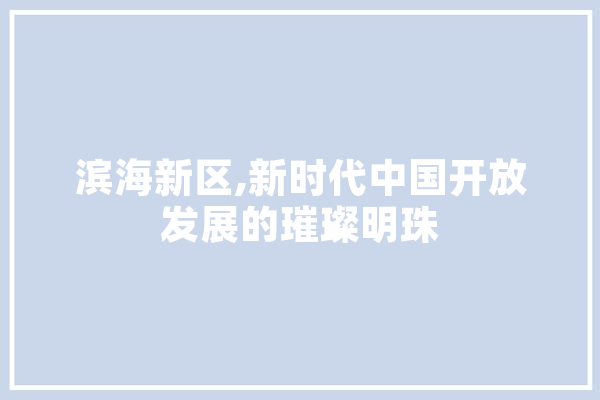 滨海新区,新时代中国开放发展的璀璨明珠