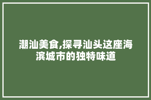 潮汕美食,探寻汕头这座海滨城市的独特味道