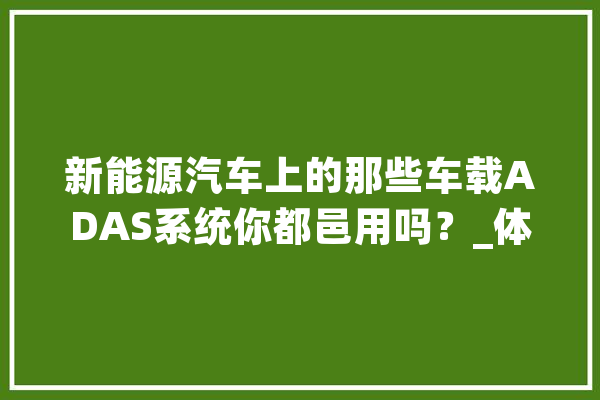 新能源汽车上的那些车载ADAS系统你都邑用吗？_体系_功效 AI简讯
