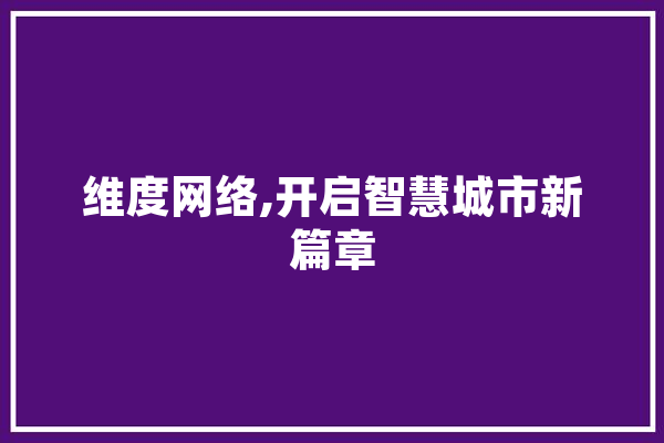 维度网络,开启智慧城市新篇章