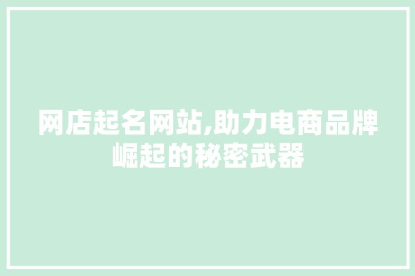 网店起名网站,助力电商品牌崛起的秘密武器