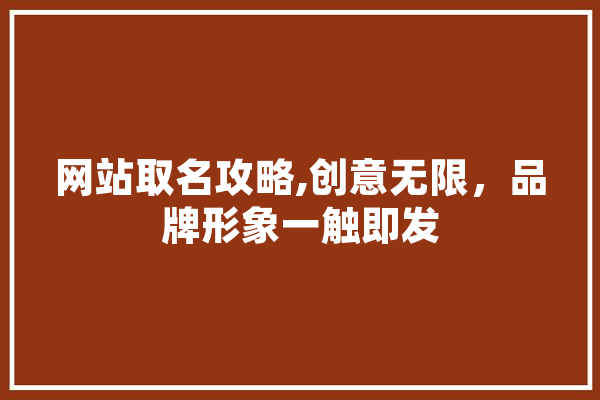 网站取名攻略,创意无限，品牌形象一触即发