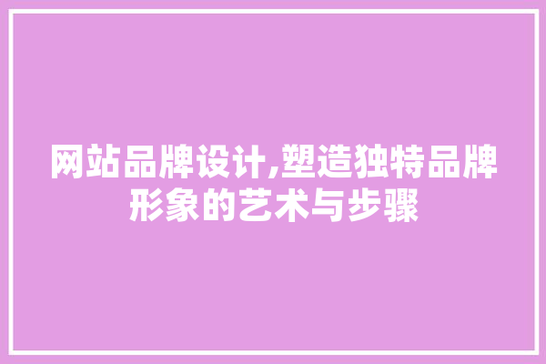 网站品牌设计,塑造独特品牌形象的艺术与步骤