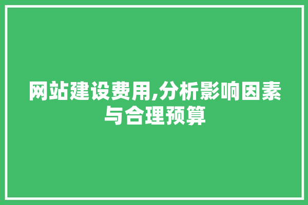 网站建设费用,分析影响因素与合理预算 文字写作