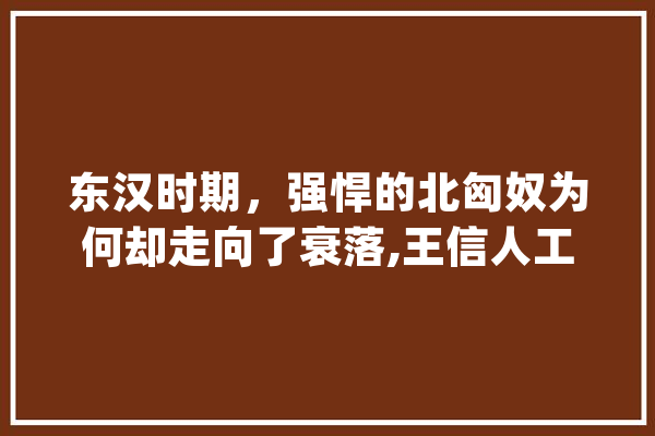 东汉时期，强悍的北匈奴为何却走向了衰落,王信人工智能科技(深圳)有限公司 智能助手