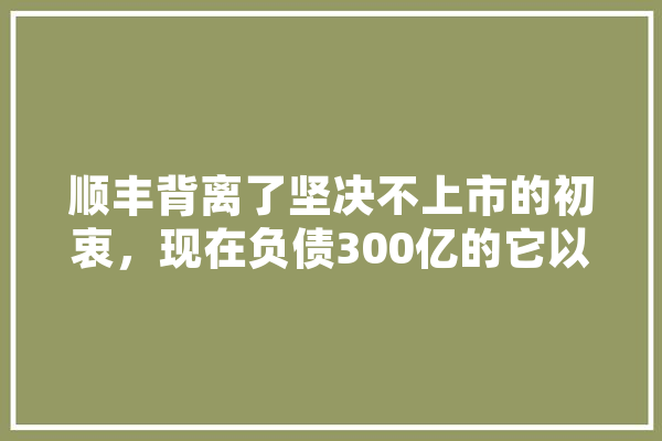 顺丰背离了坚决不上市的初衷，现在负债300亿的它以及王卫该何去何从,人工智能隐忧