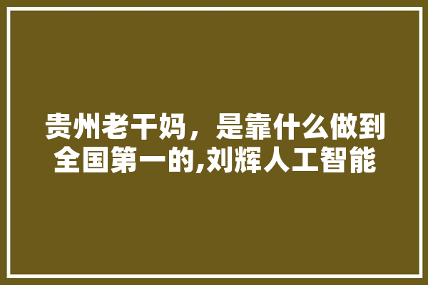 贵州老干妈，是靠什么做到全国第一的,刘辉人工智能 智能助手